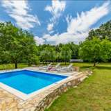  ISTRIA, VALTURA - Two houses in a beautiful location Lizhnjan 8122628 thumb5