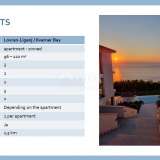  LOVRAN - LIGANJ - Apartment in a villa with pool 120m2 + terrace 27m2 with panoramic sea view + environment 105m2 Liganj 8122644 thumb49