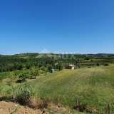  ISTRIA, MOMJAN - Beautiful villa with pool and views of vineyards and olive groves Buje 8122655 thumb5