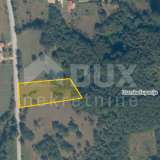  ISTRIA, BARBAN Complex of construction and agricultural land! Barban 8122700 thumb3