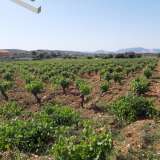  (For Sale) Land Agricultural Land  || East Attica/Spata - 6.500 Sq.m, 130.000€ Athens 7522762 thumb0