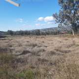  (For Sale) Land Agricultural Land  || East Attica/Spata - 10.500 Sq.m, 700.000€ Athens 7522763 thumb0