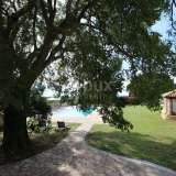  ISTRIA, VIŠNJAN Luxury property with a villa in the heart of Istria! Visnjan 8122786 thumb4