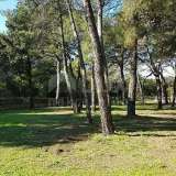  ROVINJ - building land for hotel / boutique hotel / motel / apartments / villas - houses for rent with pool Rovinj 8122082 thumb3