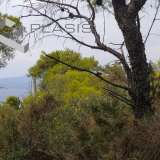  (For Sale) Land Plot || East Attica/Saronida - 750 Sq.m, 600.000€ Saronida 7522926 thumb1