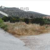 (For Sale) Land Plot || East Attica/Kalyvia-Lagonisi - 410 Sq.m, 200.000€ Lagonisi 7522957 thumb0