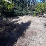  (For Sale) Land Plot || East Attica/Paiania - 520 Sq.m, 150.000€ Athens 7522965 thumb0