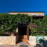  ISLAND OF KRK, inland - stone house with pool and large garden Krk island 8122981 thumb9