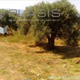  (For Sale) Land Plot || East Attica/Markopoulo Mesogaias - 10.170 Sq.m, 1.200.000€ Markopoulo Oropou 7522983 thumb0