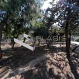 (For Sale) Land Plot || East Attica/Voula - 725 Sq.m, 1.250.000€ Athens 7522990 thumb2