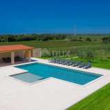  ISTRIA, VALBANDON - Villa with pool, wellness and fitness Fazana 8122991 thumb50