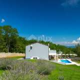  ISTRIA, LABIN - Attractive villa with a spacious garden Labin 8123102 thumb5