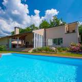  ISTRIEN, BUZET - Modern gestaltete Villa mit Pool in einem weitläufigen Garten Buzet 8123108 thumb2