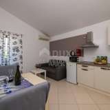  ISTRIA, POREČ - House with three residential units and a swimming pool Porec 8123126 thumb23