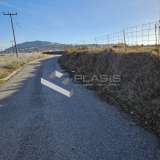  (For Sale) Land Agricultural Land  || Cyclades/Santorini-Thira - 8.300 Sq.m, 500.000€ Santorini (Thira) 8023169 thumb3