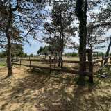  CROATIA, ISTRIA, BARBAN-Beautiful land and riding arena for sports purposes surrounded by untouched nature Barban 8123259 thumb15