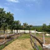  CROATIA, ISTRIA, BARBAN-Beautiful land and riding arena for sports purposes surrounded by untouched nature Barban 8123259 thumb12
