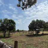  CROATIA, ISTRIA, BARBAN-Beautiful land and riding arena for sports purposes surrounded by untouched nature Barban 8123259 thumb13