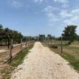  CROATIA, ISTRIA, BARBAN-Beautiful land and riding arena for sports purposes surrounded by untouched nature Barban 8123259 thumb10
