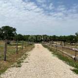 CROATIA, ISTRIA, BARBAN-Beautiful land and riding arena for sports purposes surrounded by untouched nature Barban 8123259 thumb9