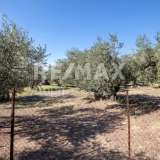  For Sale - (€ 0 / m2), Agricultural 2148 m2 Portaria 7423276 thumb8