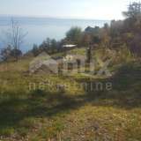  OPATIJA - building land 10184m² for a family house / villa / residential building - apartments Opatija 8123347 thumb8