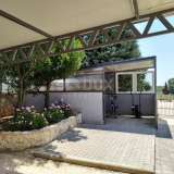  ISTRIA, GALIŽANA - Holiday house 340m2, with a garden of 2145m2 and a swimming pool 60m2 Vodnjan 8123458 thumb4