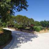  ISTRIA, GALIŽANA - Holiday house 340m2, with a garden of 2145m2 and a swimming pool 60m2 Vodnjan 8123458 thumb3