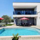  ISTRIA, ŠIŠAN - New modern villa with swimming pool Lizhnjan 8123473 thumb0