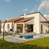  ISTRIA, PAZIN - Modern villa with a swimming pool and a spacious garden Trviž 8123549 thumb3