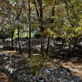  Isola di Krk, dintorni di Dobrinje - Casa in pietra ristrutturata Dobrigno 8123569 thumb58