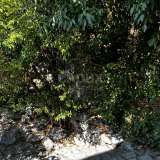  Остров Крк, окрестности Добринье - Отремонтированный каменный дом Dobrinj 8123569 thumb81