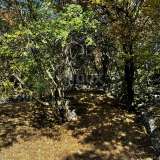  Остров Крк, окрестности Добринье - Отремонтированный каменный дом Dobrinj 8123569 thumb56