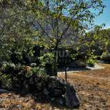  Wyspa Krk, okolice Dobrinje - Odnowiony kamienny dom Dobrinj 8123569 thumb66