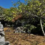  Остров Крк, окрестности Добринье - Отремонтированный каменный дом Dobrinj 8123569 thumb48