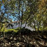  Остров Крк, окрестности Добринье - Отремонтированный каменный дом Dobrinj 8123569 thumb59