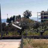  (For Sale) Land Plot || East Attica/Artemida (Loutsa) - 454 Sq.m, 250.000€ Athens 7723639 thumb0