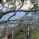  OPATIJA, POLJANE - Rustikale Villa von 300m2 mit Panoramablick auf die Kvarner Bucht Opatija 8123068 thumb1
