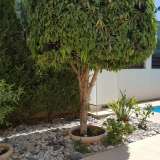  3 bedroom detached house with a private swimming pool Agios Tychonas 3623824 thumb11
