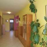  ISTRIA, BARBAN - Family house with two separate apartments and a large garden Barban 8123845 thumb16