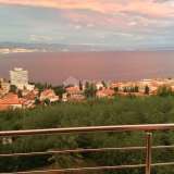  OPATIJA center - whole house, two apartments with 2 gardens above the center of Opatija with a panoramic view of the sea Opatija 8123933 thumb66