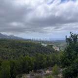  7716 m² Residential Plot with Sea Views in Altea Costa Blanca Alicante 8224289 thumb15
