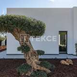  Detached Single Level Luxury Villa in Santa Clara Altea Alicante 8224311 thumb8