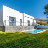 Detached Single Level Luxury Villa in Santa Clara Altea Alicante 8224311 thumb1