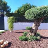  Detached Single Level Luxury Villa in Santa Clara Altea Alicante 8224311 thumb37