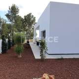  Detached Single Level Luxury Villa in Santa Clara Altea Alicante 8224311 thumb27