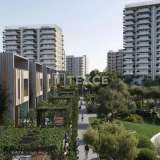  Terrains Dans une Résidence Luxueuse à Dubaï Meydan Seyhan 8124365 thumb0