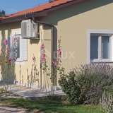   ISTRIA, ŽMINJ - Property with 3 detached houses Križanci 8124865 thumb20