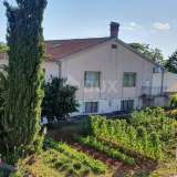   ISTRIA, ŽMINJ - Property with 3 detached houses Križanci 8124865 thumb48