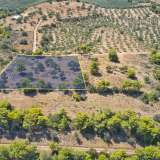  For Sale - (€ 0 / m2), Agricultural 4000 m2 Kranidi 8224882 thumb1